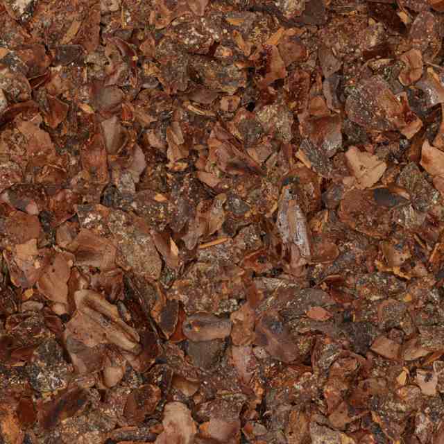 Cacaodoppen Gebroken van De Theefabriek, 1x 1kg